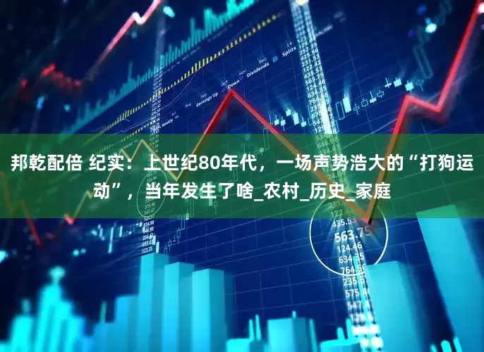 邦乾配倍 纪实：上世纪80年代，一场声势浩大的“打狗运动”，当年发生了啥_农村_历史_家庭