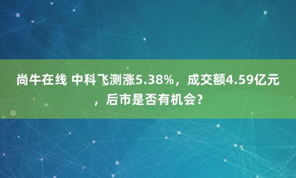 尚牛在线 中科飞测涨5.38%，成交额4.59亿元，后市是否有机会？
