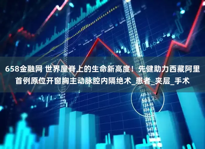 658金融网 世界屋脊上的生命新高度！先健助力西藏阿里首例原位开窗胸主动脉腔内隔绝术_患者_夹层_手术