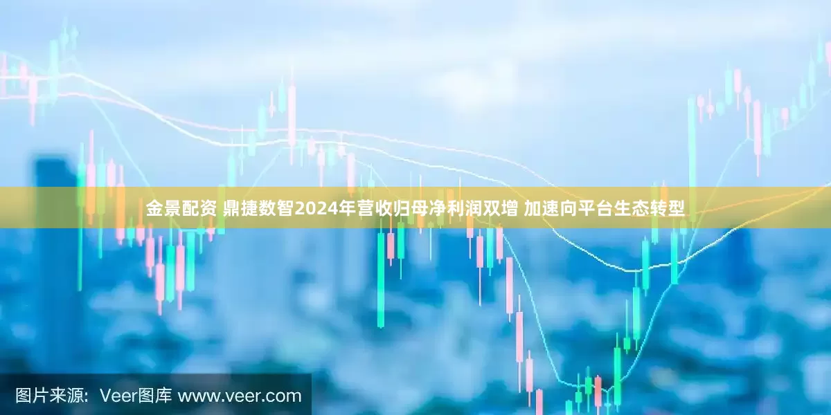 金景配资 鼎捷数智2024年营收归母净利润双增 加速向平台生态转型